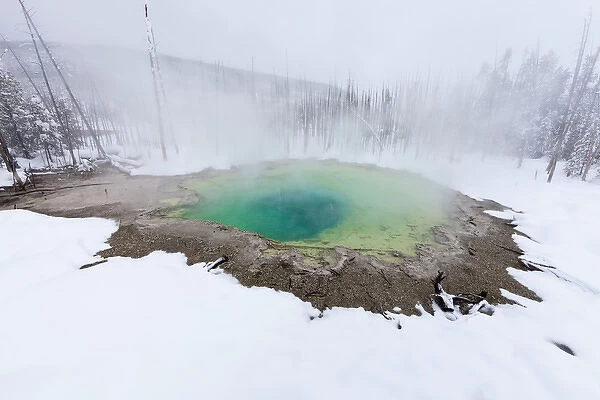 Cistern spring in the Norris Geyser Basin in Yellowstone National Park, Wyoming, USA