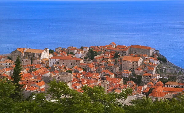 Cityscape fo Dubrovnik by Adriatic Sea, Croatia