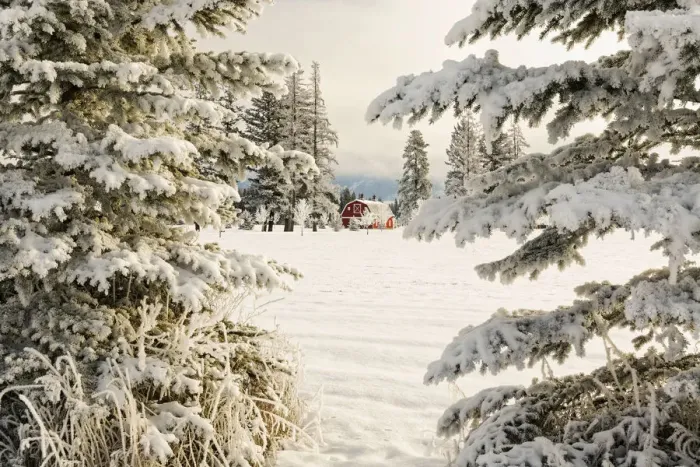 Framed Print : Classic red barn and snow scene, Kalispell, Montana