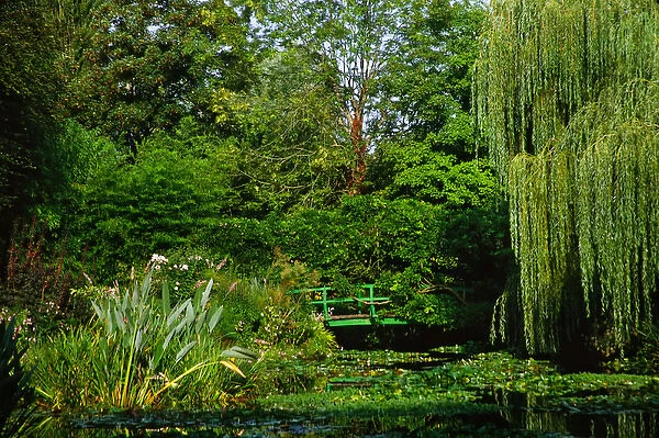 Claude Monets garden pond in Giverny, France