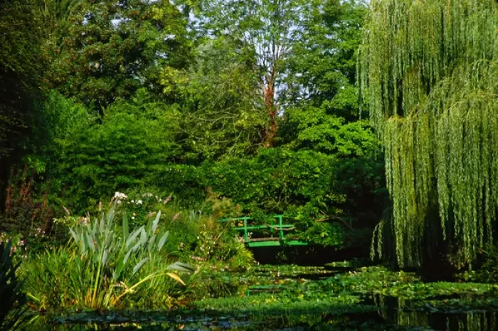 Framed Print : Claude Monets garden pond in Giverny, France Framed Print : Claude Monets garden pond in Giverny, France