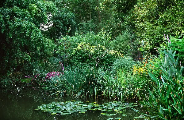 Claude Monets garden pond in Giverny, France
