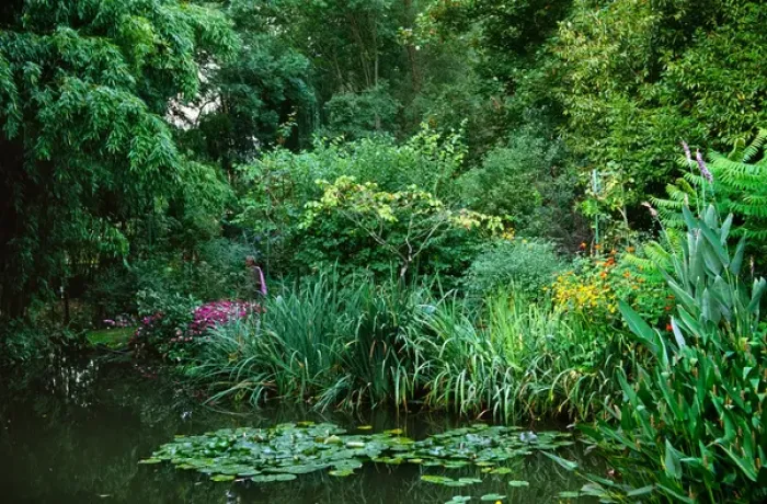 Framed Print : Claude Monets garden pond in Giverny, France Framed Print : Claude Monets garden pond in Giverny, France