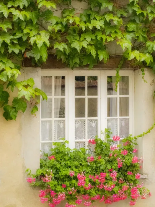 Framed Print : Claude Monets home, Giverny, France Framed Print : Claude Monets home, Giverny, France