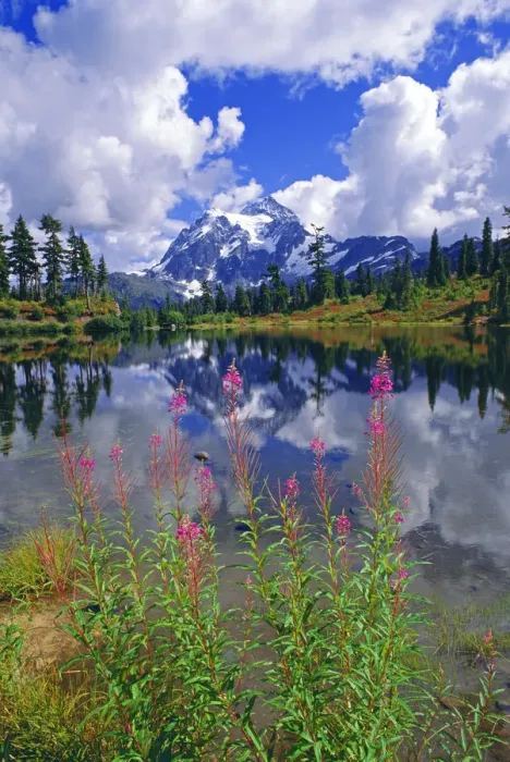 Framed Print : Clearing storm over Mount Shuksan from Picture Lake, North Cascades National Park Framed Print : Clearing storm over Mount Shuksan from Picture Lake, North Cascades National Park