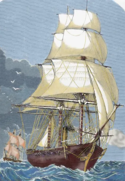 Framed Print : Clipper. 19th century. Colored engraving Framed Print : Clipper. 19th century. Colored engraving