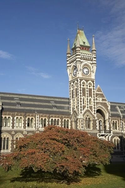 Clock Tower, Registry Building, University of Otago in Autumn, Dunedin, South Island