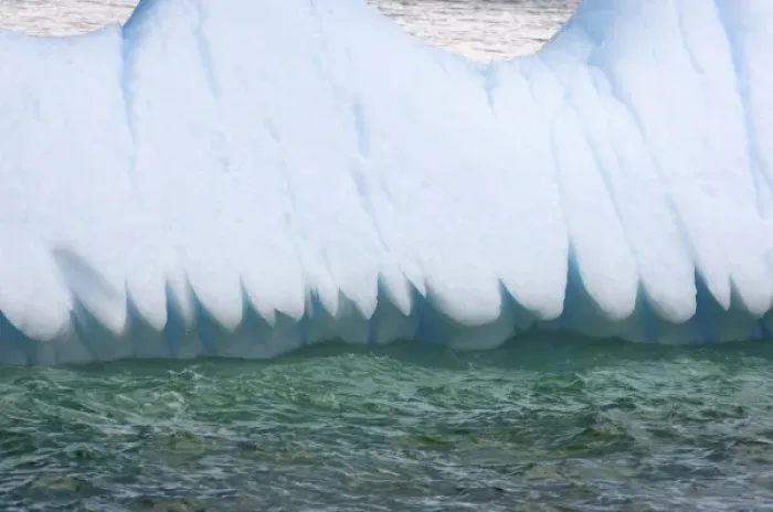 Framed Print : close up of the edge of an iceberg floating off the western Antarctic peninsula, Antarctica Framed Print : close up of the edge of an iceberg floating off the western Antarctic peninsula, Antarctica