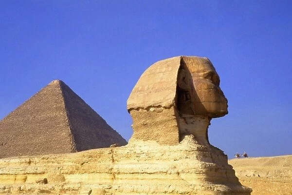 Close up of the famous Sphinx and the Pyramids of Giza in Egypt