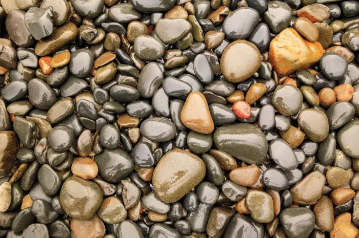 Framed Print : Close-up of beach rocks, Oregon