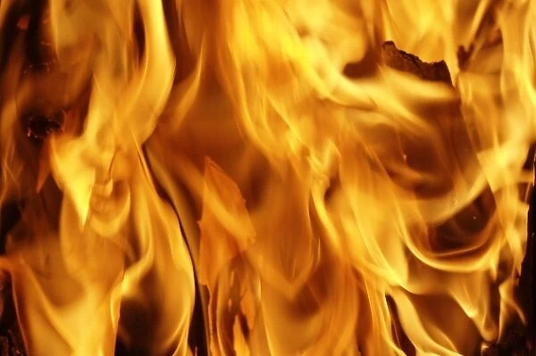 Close-up of fire flames, Jodhpur, India