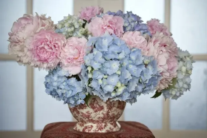 Framed Print : Close-up of hydrangea and peony flower arrangement on table next to window Framed Print : Close-up of hydrangea and peony flower arrangement on table next to window