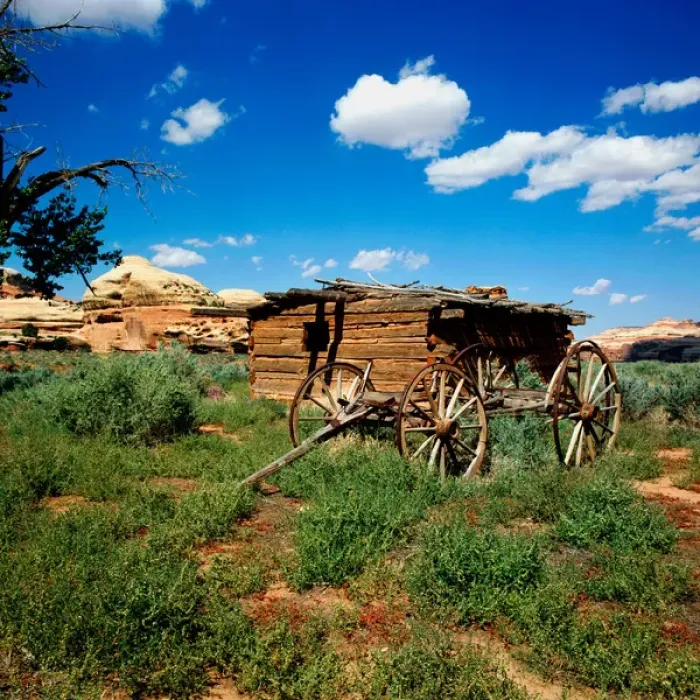 Framed Print : Close-Up of Kirk Cabin and wagon frame located in the Salt Creek Canyon, Needles Framed Print : Close-Up of Kirk Cabin and wagon frame located in the Salt Creek Canyon, Needles