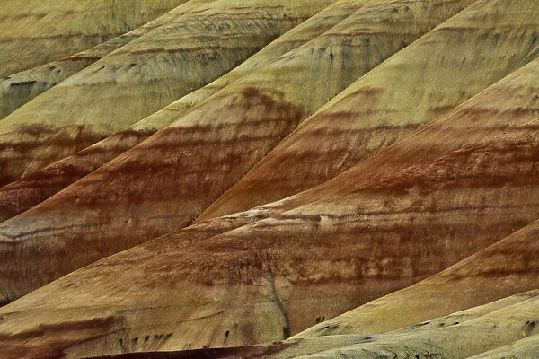 Close-up of Painted Hills, John Day Fossil Beds National Monument, Mitchell, Oregon, USA