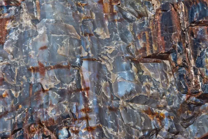 Framed Print : Close-up of petrified wood, Petrified Forest National Park, Holbrook, Arizona, USA Framed Print : Close-up of petrified wood, Petrified Forest National Park, Holbrook, Arizona, USA