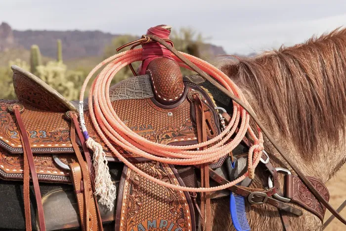 Framed Print : Close-up of a saddle and lariat on a horse Framed Print : Close-up of a saddle and lariat on a horse