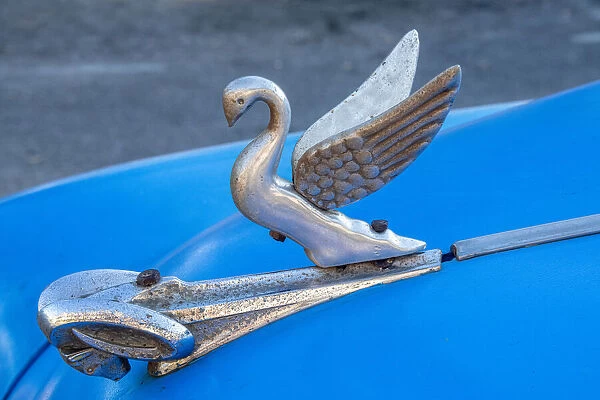 Close-up a swan hood ornament on a classic blue American car in Vieja, old Habana, Havana