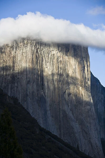 A cloud forms atop El Capitan shrouding the top of the cliff-face - Yosemite National Park