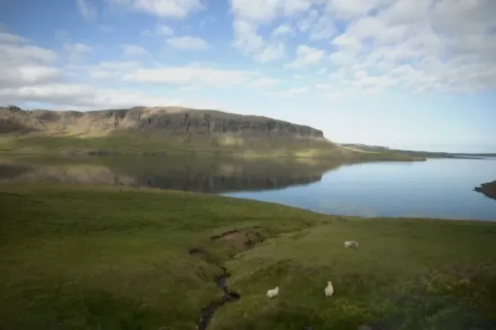 Framed Print : Clouds reflected on waters of calm glacial fjord in the north of Iceland not far