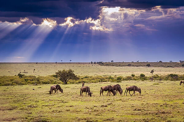 Clouds with sun rays streaming down on Masai Mara in Kenya, Africa