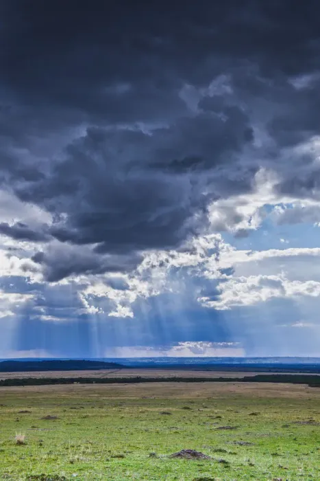 Framed Print : Clouds with sun rays streaming down on Masai Mara in Kenya, Africa Framed Print : Clouds with sun rays streaming down on Masai Mara in Kenya, Africa