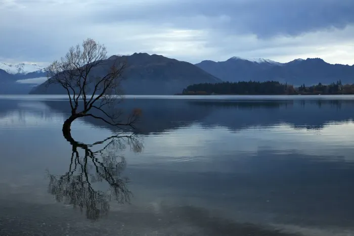Framed Print : Clouds and That Wanaka Tree reflected in Lake Wanaka, Otago, South Island Framed Print : Clouds and That Wanaka Tree reflected in Lake Wanaka, Otago, South Island
