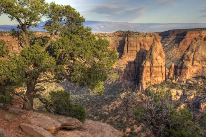 Framed Print : CO, Colorado National Monument, view from Visitor Center Framed Print : CO, Colorado National Monument, view from Visitor Center