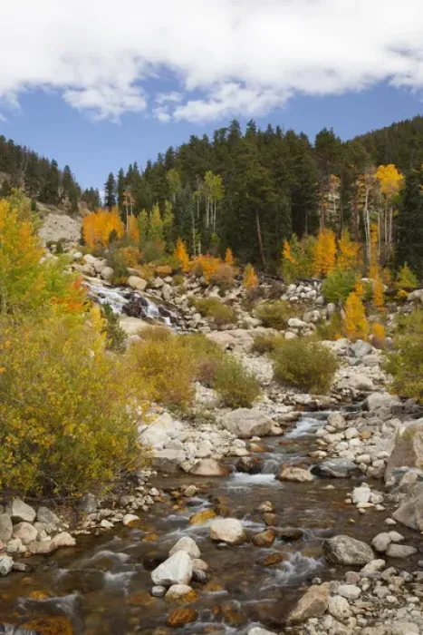 Framed Print : CO, Rocky Mountain National Park, Alluvial Fan area Framed Print : CO, Rocky Mountain National Park, Alluvial Fan area
