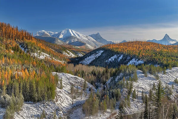 Coal Creek with Cloudcroft Peaks in late autumn in Glacier National Park, Montana, USA