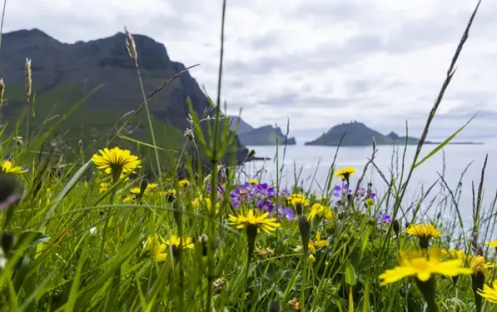 Framed Print : The coast near Gasadalur. The island Vagar, part of the Faroe Islands in the North Atlantic Framed Print : The coast near Gasadalur. The island Vagar, part of the Faroe Islands in the North Atlantic