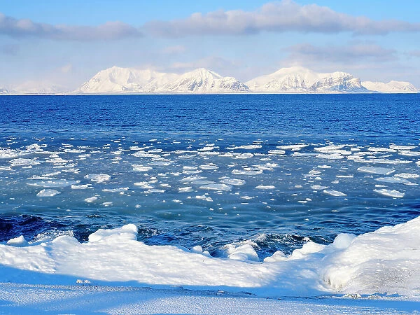 Coast with pancake ice near Kapp Linne at fjord Isfjorden near Isfjorden Radio, Island of Spitsbergen. Background mountains of Nordre Isfjorden National Park. Arctic region, Scandinavia, Norway, Svalbard