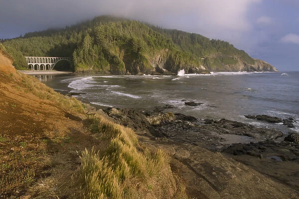 Coastal landscape, Oregon, USA