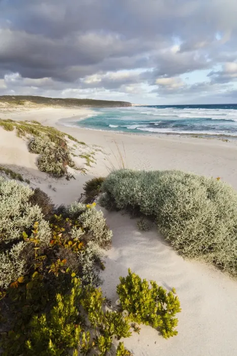 Framed Print : The coastline at Hanson Bay on Kangaroo Island, australia