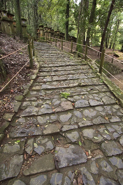 A cobble stone path leading through the grounds of Kasuga Taisha Shrine in Nara, Japan