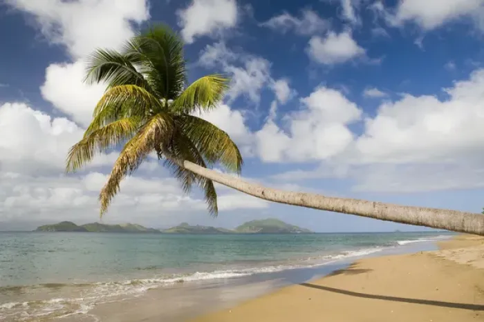 Framed Print : Coconut Grove Beach at Cades Bay, with St. Kitts on horizon Framed Print : Coconut Grove Beach at Cades Bay, with St. Kitts on horizon