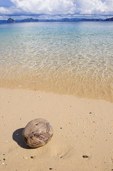 Coconut on a sandy beach in the Bacuit archipelago, Palawan, Philippines