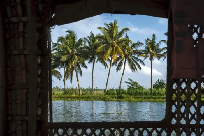Framed Print : Coconut trees seen from cruise boat in Backwaters, Kerala, India Framed Print : Coconut trees seen from cruise boat in Backwaters, Kerala, India