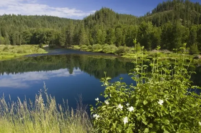 Framed Print : The Coeur d Alene River near Cataldo Idaho Framed Print : The Coeur d Alene River near Cataldo Idaho