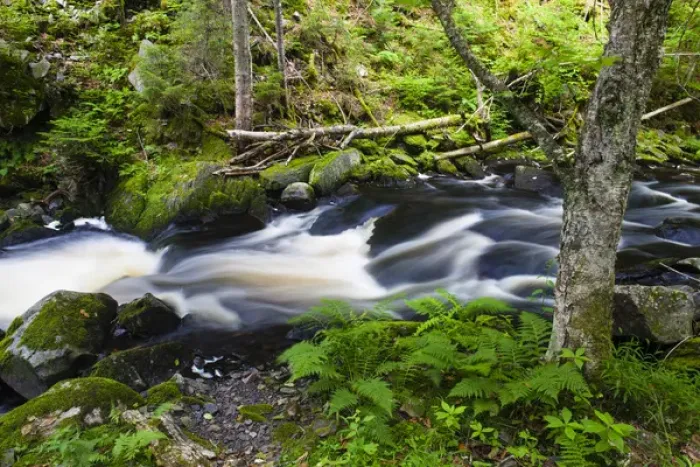 Framed Print : Cold Stream in Maines Northern Forest. Cold Stream Gorge. Johnson Mountain Township Framed Print : Cold Stream in Maines Northern Forest. Cold Stream Gorge. Johnson Mountain Township