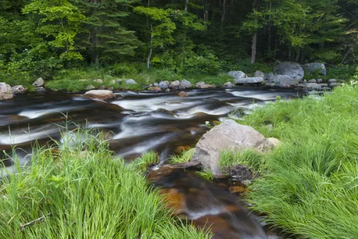 Framed Print : Cold Stream in Maines Northern Forest. West Forks Framed Print : Cold Stream in Maines Northern Forest. West Forks