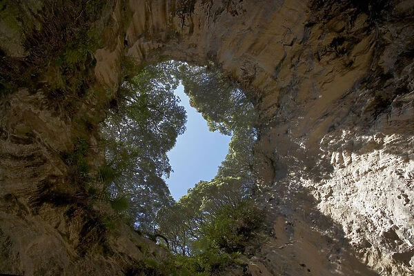 Collapsed sea cave near Hahei, Coromandel Peninsula, North Island, New Zealand