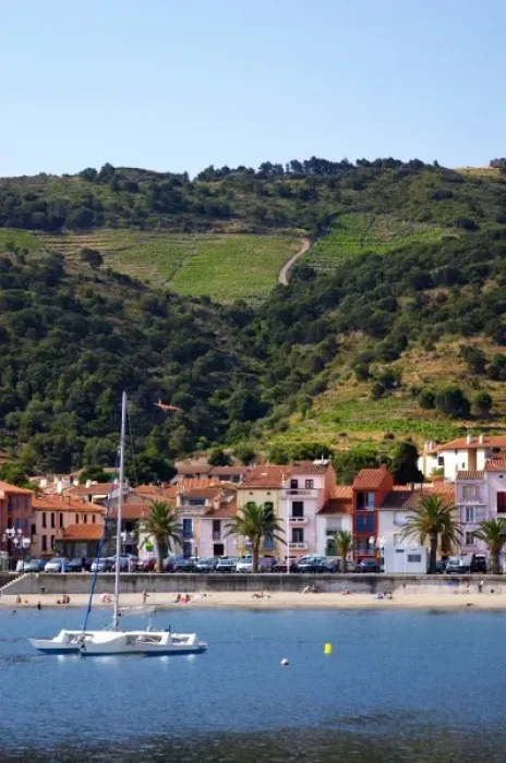 Framed Print : Collioure. Roussillon. The beach and the village. France. Europe. Vineyard Framed Print : Collioure. Roussillon. The beach and the village. France. Europe. Vineyard