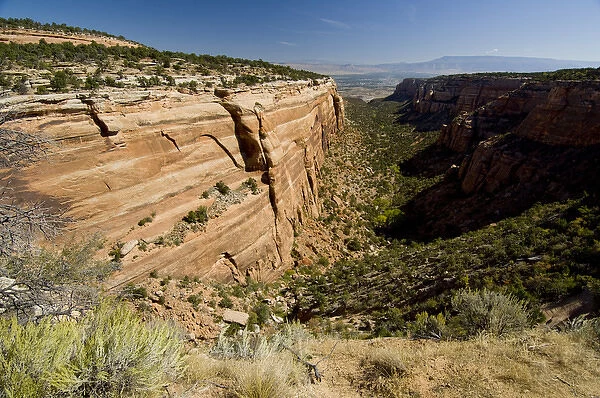 Colorado, Grand Junction, Colorado National Monument. Red Canyon, typical canyon views