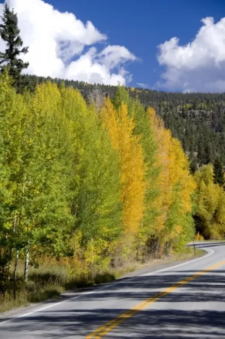 Framed Print : Colorado, Wolf Creek Pass Framed Print : Colorado, Wolf Creek Pass