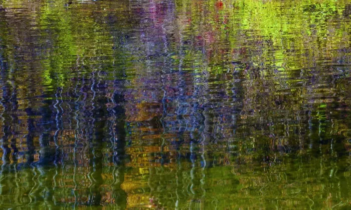 Framed Print : Colorful abstract reflection in lake water Framed Print : Colorful abstract reflection in lake water