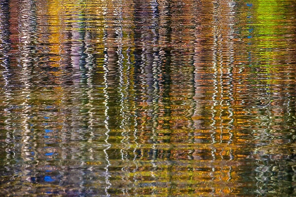Colorful abstract reflection in lake water