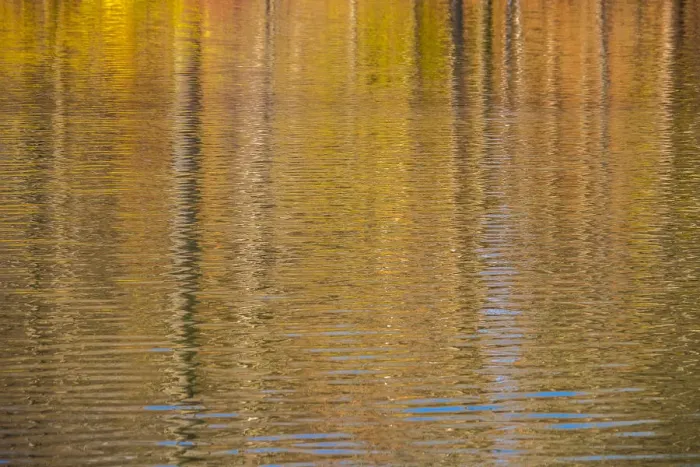 Framed Print : Colorful abstract reflection in lake water