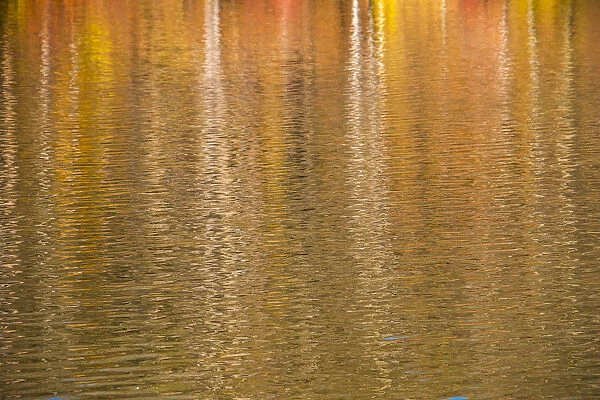 Colorful abstract reflection in lake water