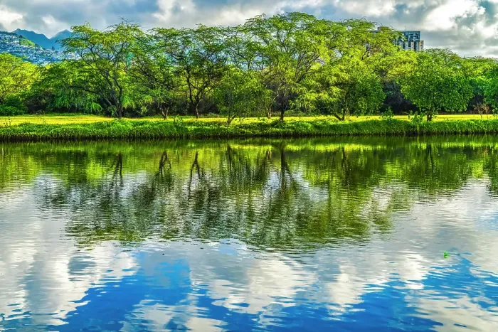Framed Print : Colorful Ala Wai Canal reflection, Honolulu, Oahu, Hawaii Framed Print : Colorful Ala Wai Canal reflection, Honolulu, Oahu, Hawaii