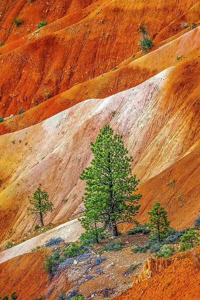 Colorful Bryce Point, Bryce Canyon National Park, Utah